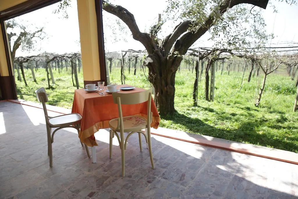 Grappoli Di Sole Villa Rom 0*,