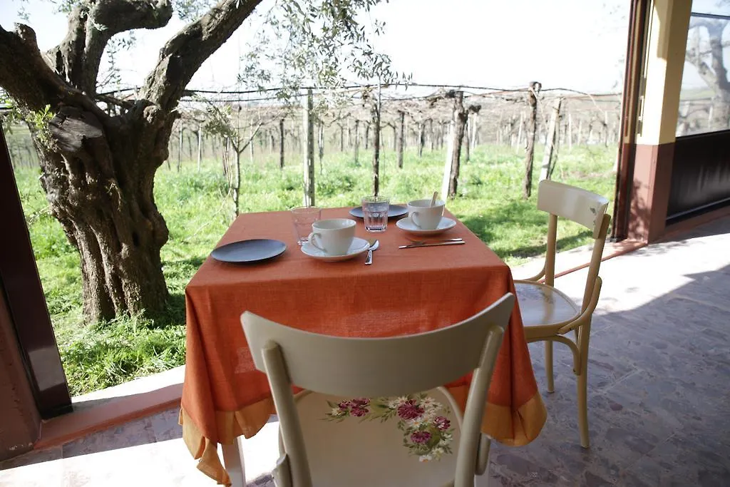 Grappoli Di Sole Villa Rom Lantgård