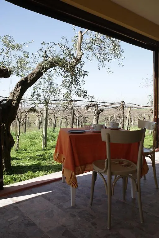 Grappoli Di Sole Villa Rom Italien